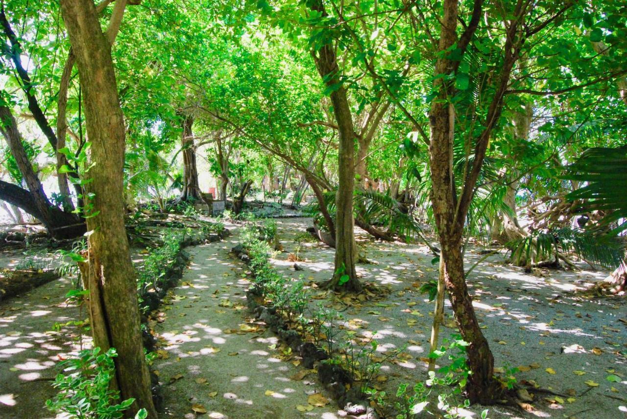 Villa Imagination Island à Gizo Extérieur photo